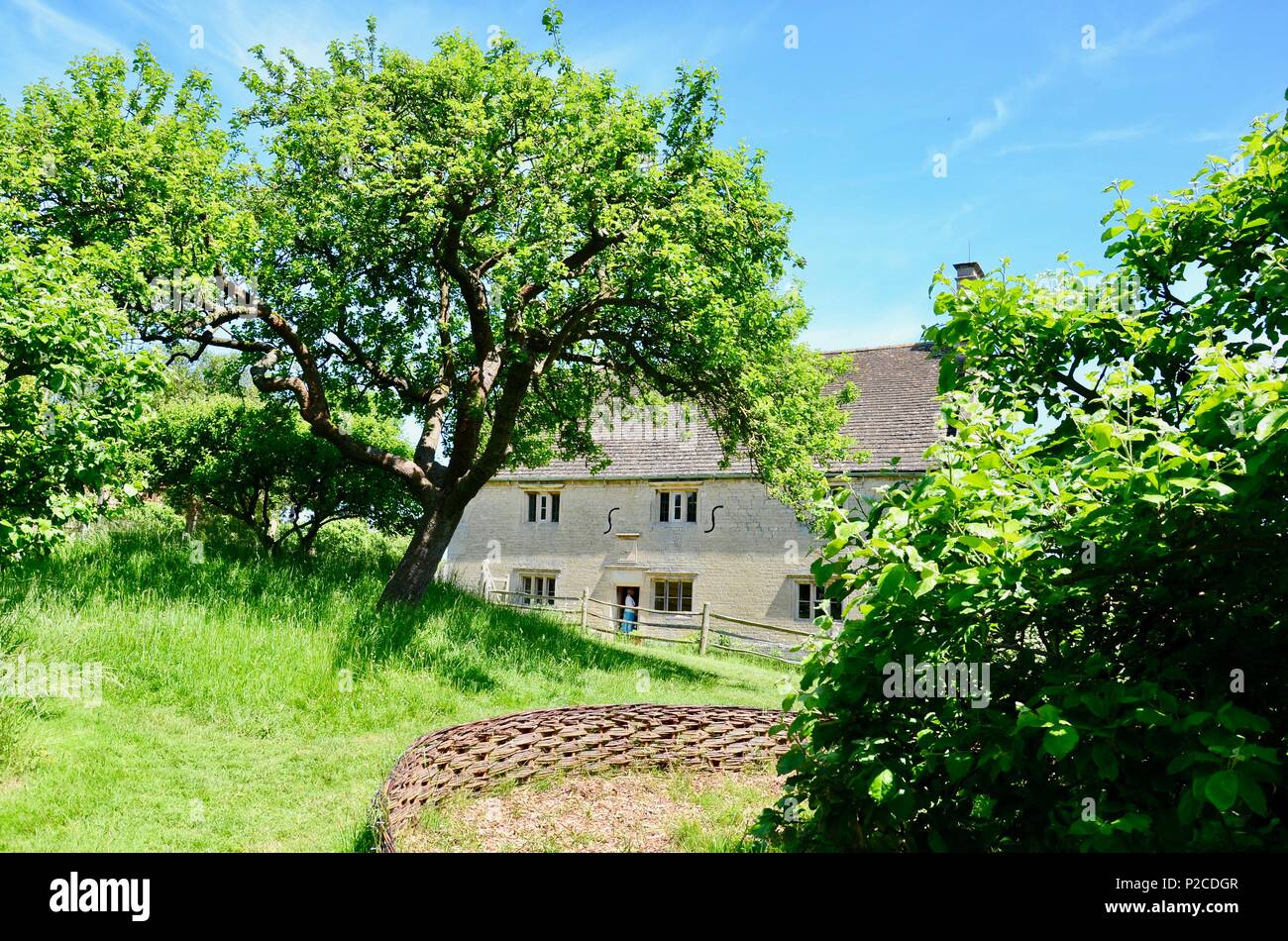 Apple Tree en face de Woolsthorpe Manor, Lincolnshire, accueil du scientifique et mathématicien Sir Isaac Newton. Banque D'Images