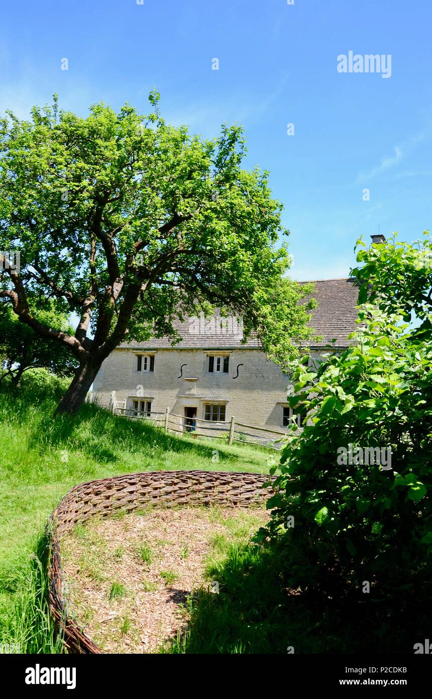 Apple Tree en face de Woolsthorpe Manor, Lincolnshire, accueil du scientifique et mathématicien Sir Isaac Newton. Banque D'Images