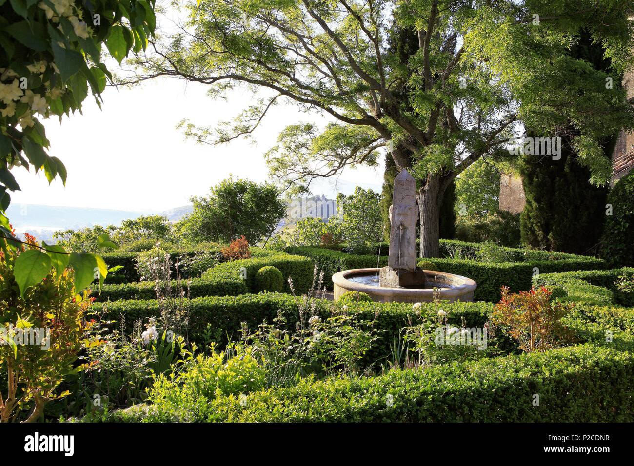 France, Alpes de Haute Provence, Saint Michel de l'Observatoire, jardin de la prieure de Saint Michel, le jardin fermé appuyé contre l'Eglise : un parterre de buis autour d'un obélisque fontaine sous un sophora japonica Banque D'Images