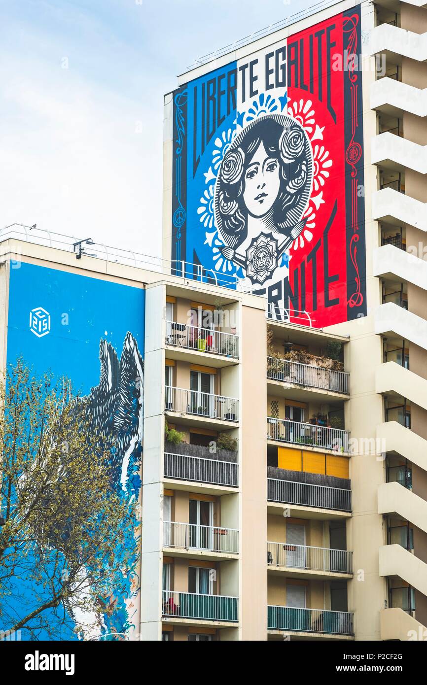 France, Paris, Arts de la rue du 13e arrondissement, Le Chat de l'artiste C215, boulevard Vincent Auriol et Liberté, Egalité, Fraternité par l'artiste Shepard Fairey à l'arrière-plan Banque D'Images