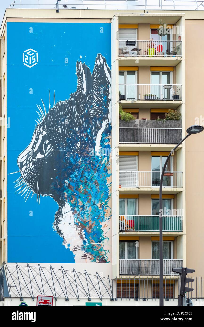 France, Paris, Arts de la rue du 13e arrondissement, Le Chat de l'artiste C215, boulevard Vincent Auriol Banque D'Images