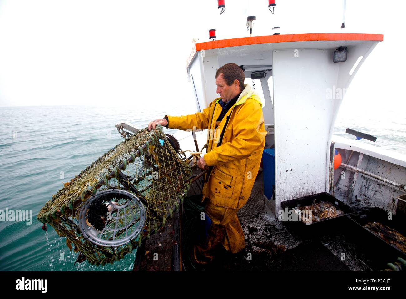 France, Manche, Blainville sur Mer, la pêche de la seiche Charly Hardy remonte les casiers Banque D'Images