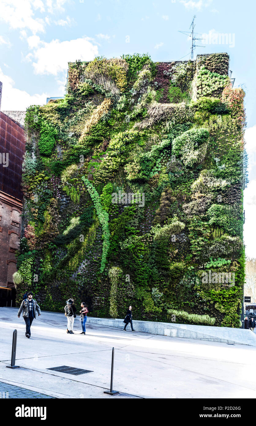 Jardin vertical sur le côté d'un immeuble, Madrid, Espagne. Banque D'Images