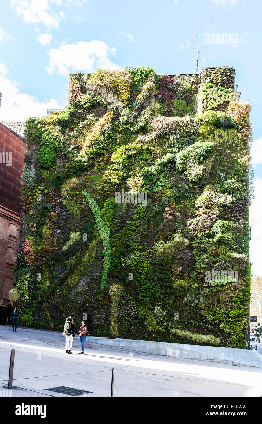 Jardin vertical sur le côté latéral d'un bâtiment, Madrid, Espagne. Banque D'Images