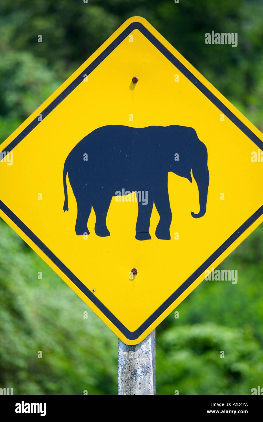 La Thaïlande, le nord de la Thaïlande, l'éléphant panneau sur la route Banque D'Images