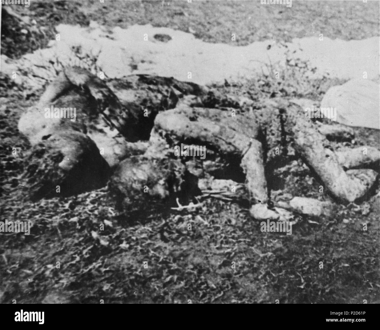 . Anglais : Les corps des prisonniers exécutés par l'Ustasa de Jasenovac. Août 1941 - Avril 1945 19 prisonniers exécutés à Jasenovac Banque D'Images