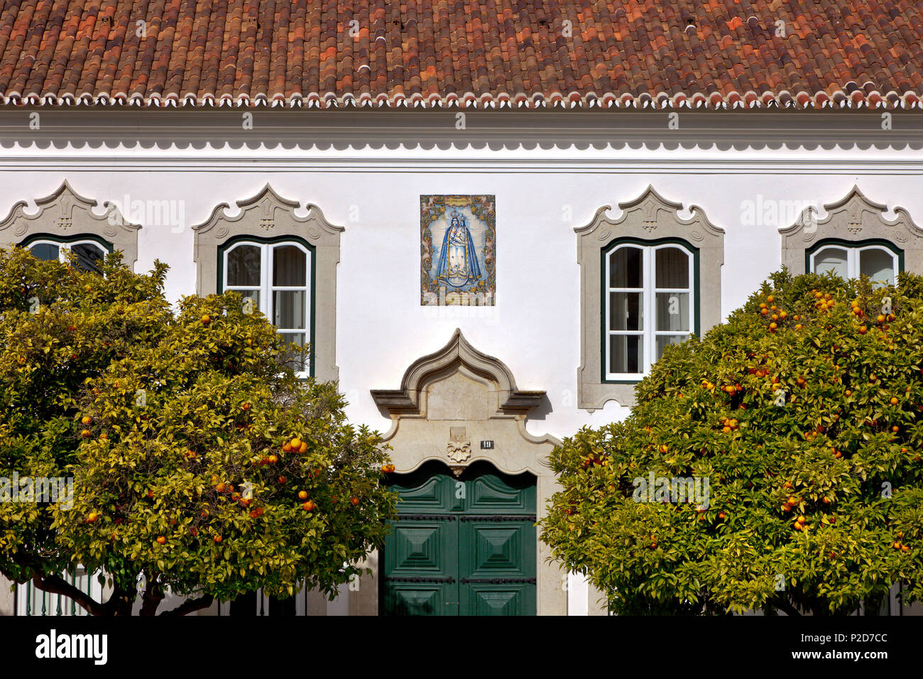 Orangers devant une maison au Largo da Se, Faro, Algarve, Portugal Banque D'Images