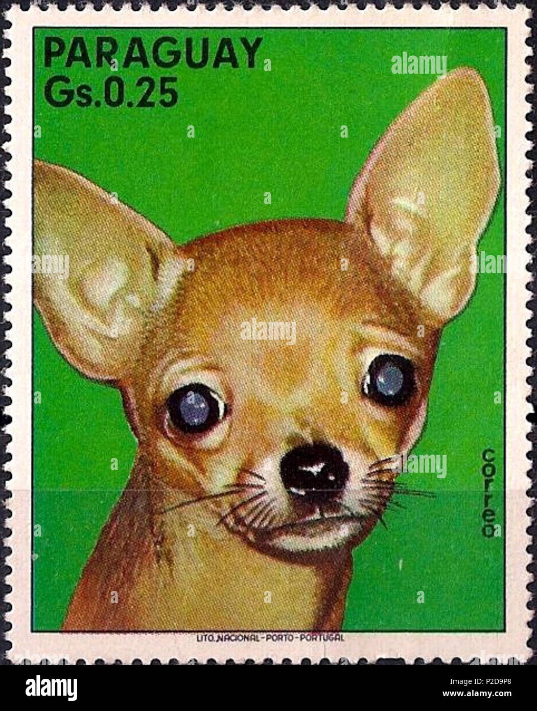 .  ? ? ? ? ? ? ? ? ? ? ? ? ? ? ? . 7 juin 1975. Cachet de Paraguai 12 Chihuahua-Canis-lupus-familiaris Banque D'Images