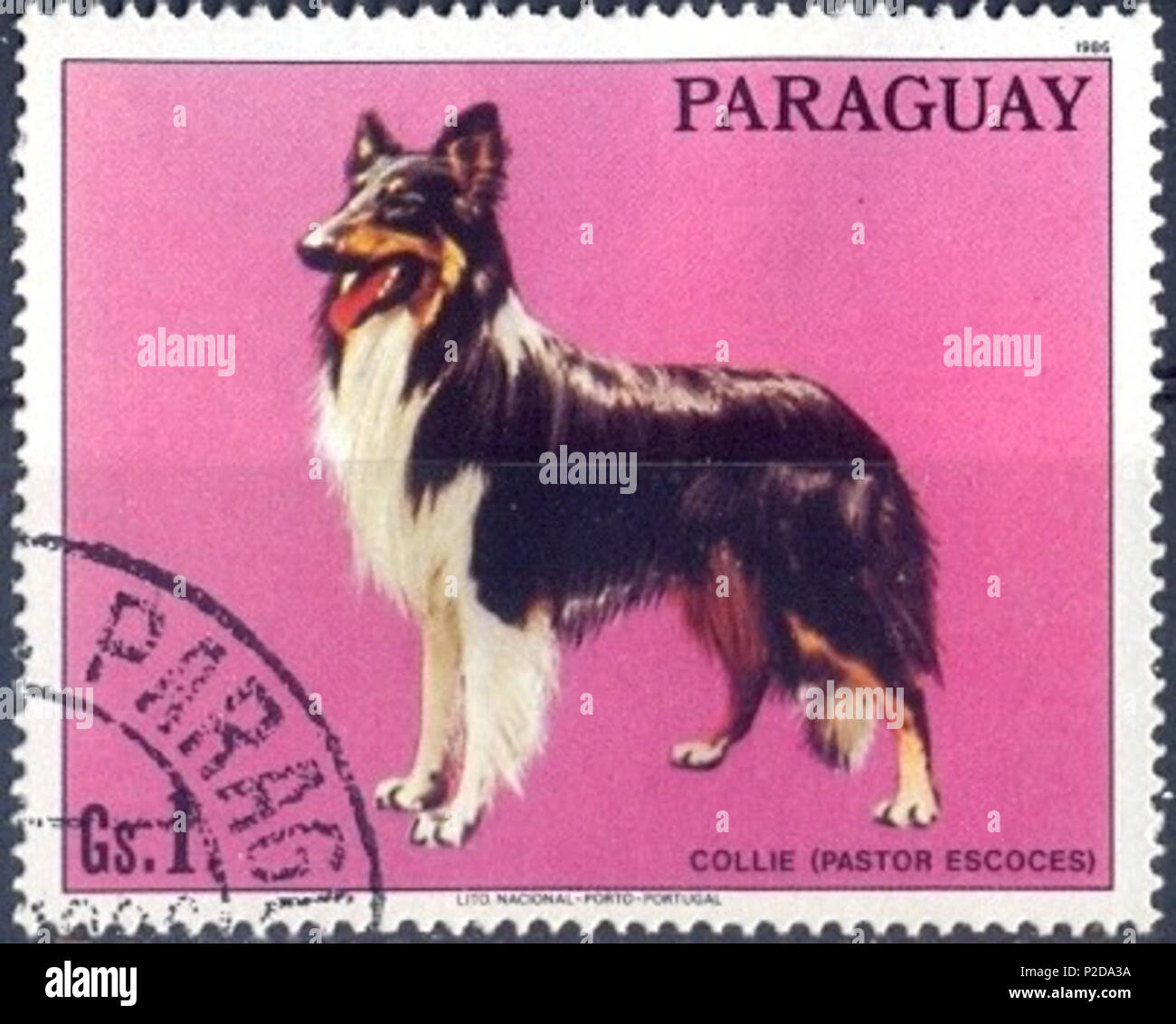 .  ? ? ? ? ? ? ? ? ? ? ? ? . 28 août 1986. Cachet de Paraguai 13 Collie-Canis-lupus-familiaris Banque D'Images