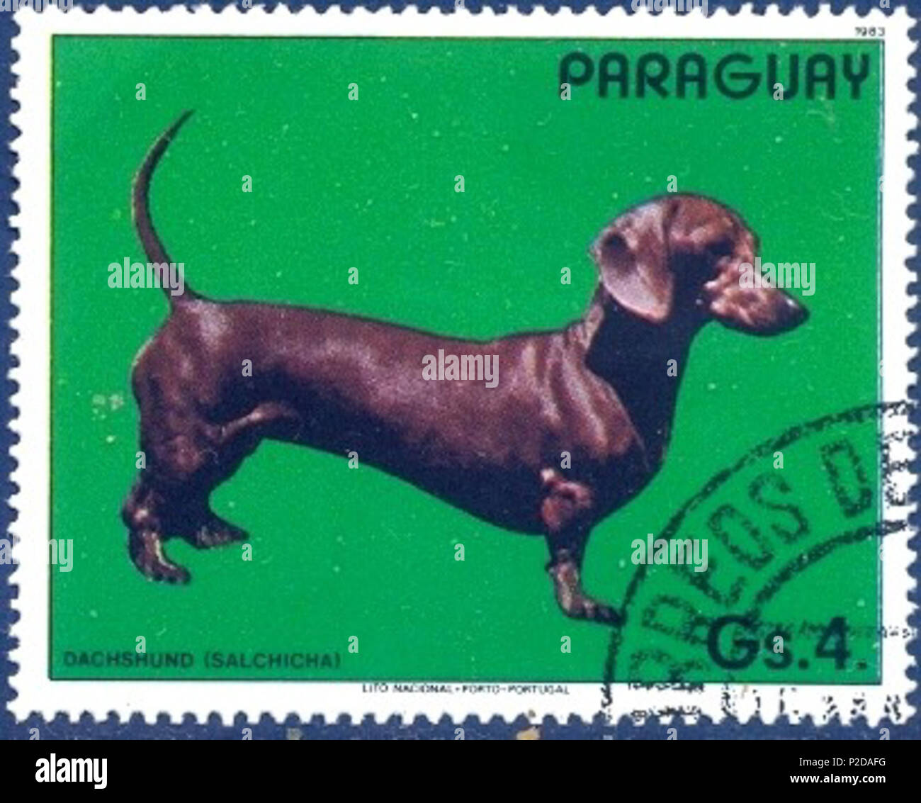 .  ? ? ? ? ? ? ? ? ? ? ? ? . 11 janvier 1984. Cachet de Paraguai 15 Dachshund-Canis-lupus-familiaris Banque D'Images