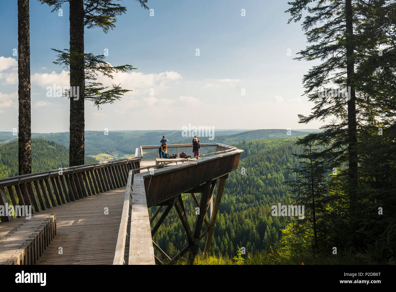 Point de vue, Buhlbachsee, Baiersbronn, près du Parc National de la Forêt Noire, Forêt Noire, Bade-Wurtemberg, Allemagne Banque D'Images