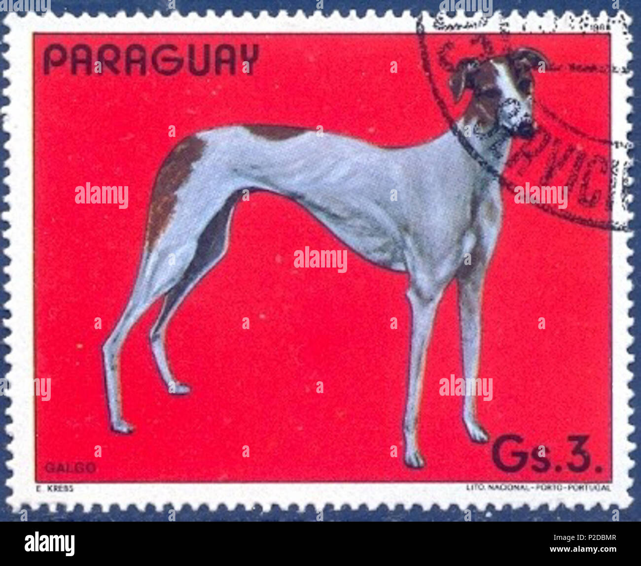 .  ? ? ? ? ? ? ? ? ? ? ? ? ? ? ? ? . 11 janvier 1984. Cachet de Paraguai 23 Grayhound-Canis-lupus-familiaris Banque D'Images