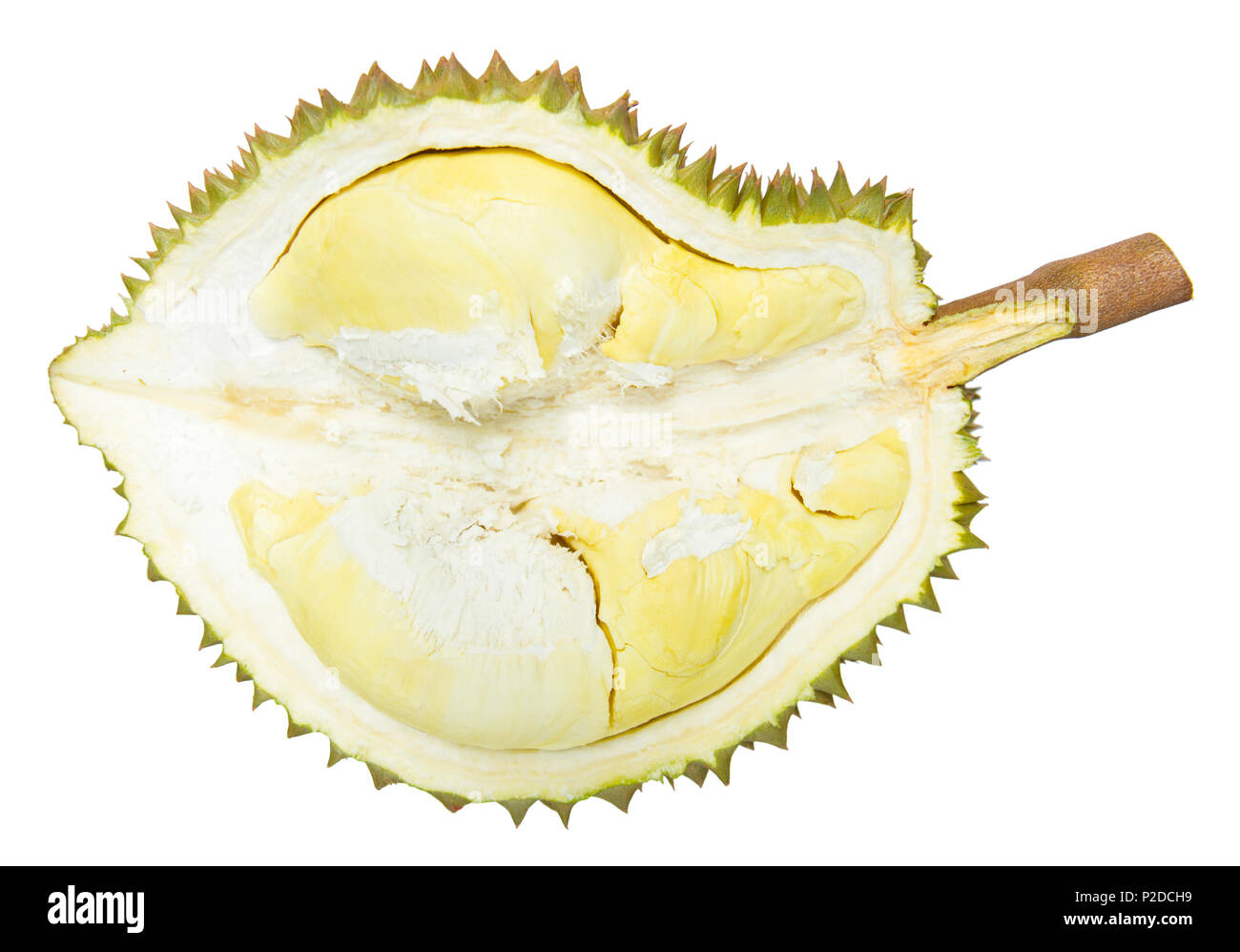 Durian isolé sur fond blanc Banque D'Images