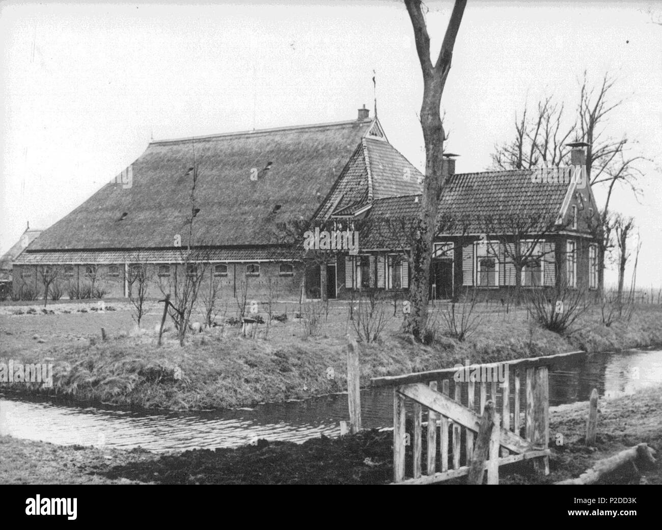 . Nederlands : Kop-hals-romp boerderij, Noord-Oost Friesland, veehouderij. Gegevens (situatie) 1950 : stal rencontré plaats voor een kleine 30 koeien en stier, paardenstal rencontré plaats voor paarden 4. Tussenstal rencontré plaats voor 8 stuks jongvee. Hooivakken  + plaats voor Twee hooi op de paardenstalzolder jongveestalzolder fr. Daarnaast was er in de schuur Ruimte voor kalveren en bleef er nog Ruimte voor plus werktuigen. Voor de oorlog werd daar tevens kaas bereid. De schuur était voorzien van hooitransportsystem, dat het een haal het mogelijk hooi naar elk gewenste hooivak te transporteren de Zolder. Op d Banque D'Images