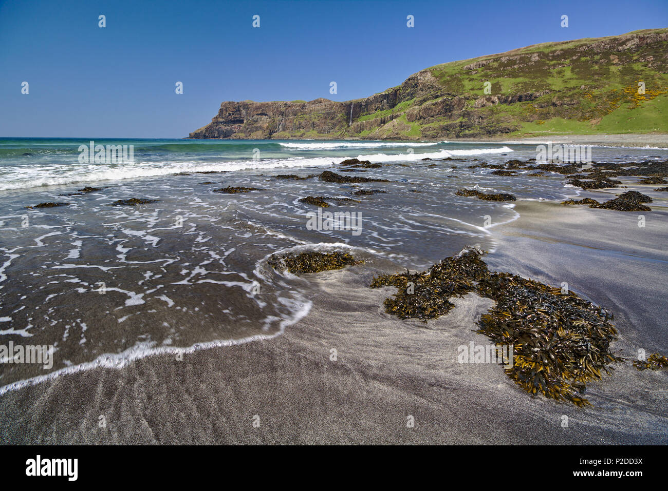 Talisker Bay, île de Skye, ÉCOSSE - plage de sable avec des algues en premier plan et blanc surf et falaises au loin Banque D'Images