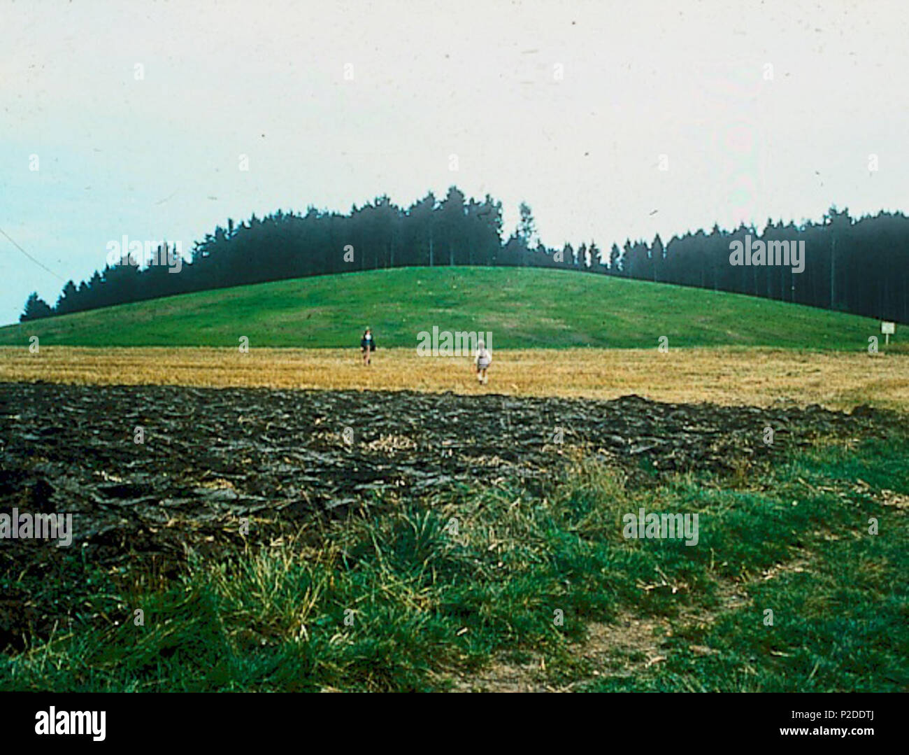 . Anglais : Magdalenenberg près de Villingen-Schwenningen, Allemagne Deutsch : Magdalenenberg bei Villingen-Schwenningen . Des années 1980. Inconnu 32 Magdalenenberg Banque D'Images