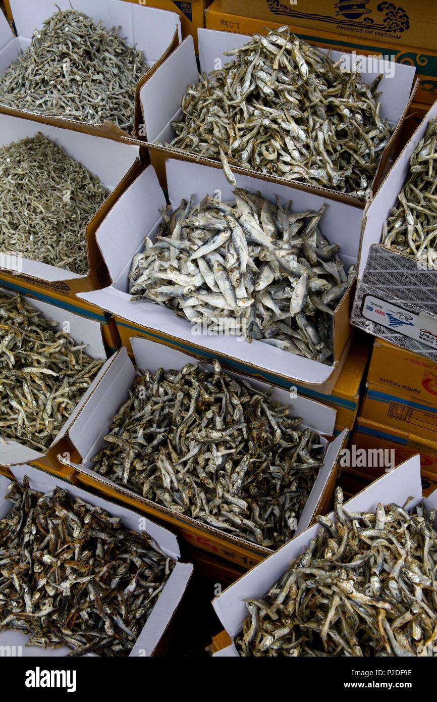 La Corée du Sud, Séoul, marché du poisson séché Banque D'Images