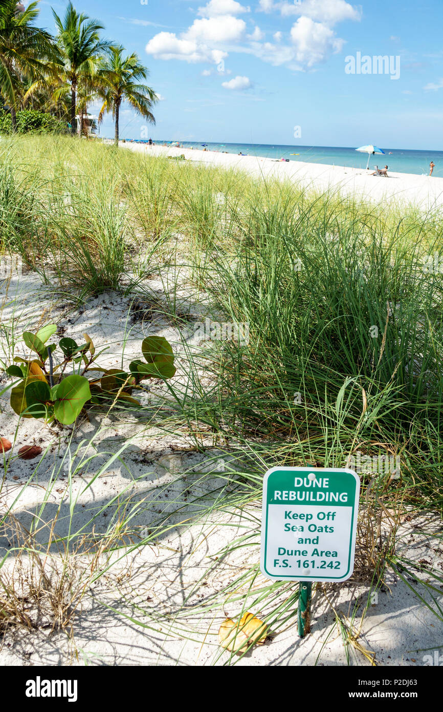 Jensen Beach Florida,Océan Atlantique,sable,plage,rivage,panneau,garder hors de l'avoine de mer,projet de construction de dune,protection du littoral,violation du Statut de la Floride Banque D'Images