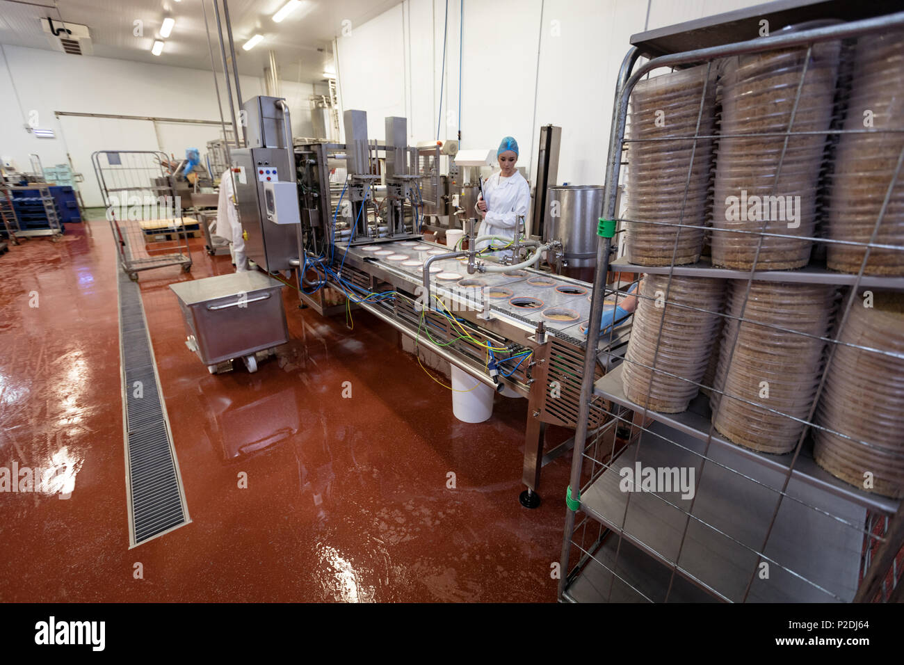 Travailleur féminin la surveillance des aliments près de ligne de production Banque D'Images