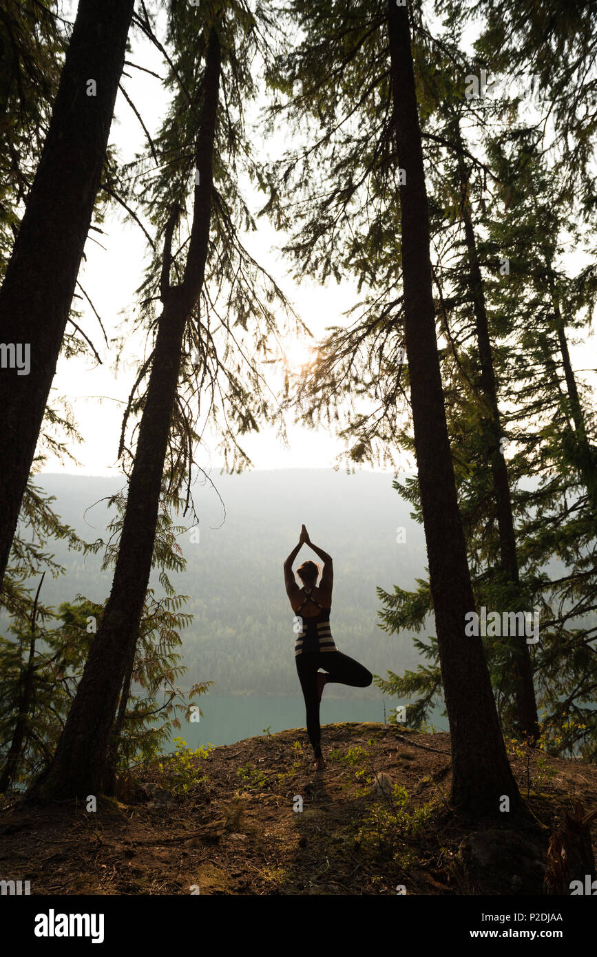 Fit woman performing exercice s'étendant dans une luxuriante forêt verte Banque D'Images