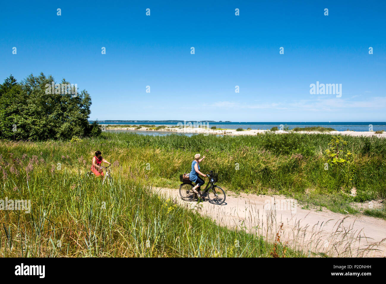 Piste cyclable le long du fjord de Kiel, côte de la mer Baltique, Schleswig-Holstein, Allemagne Banque D'Images