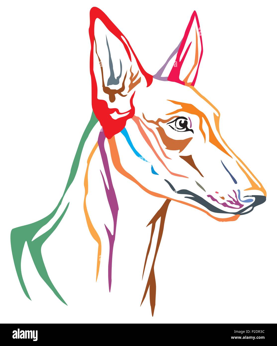 Portrait décoratives colorées dans le profil de Pharaon hound dog, vector illustration en différentes couleurs isolé sur fond blanc Illustration de Vecteur