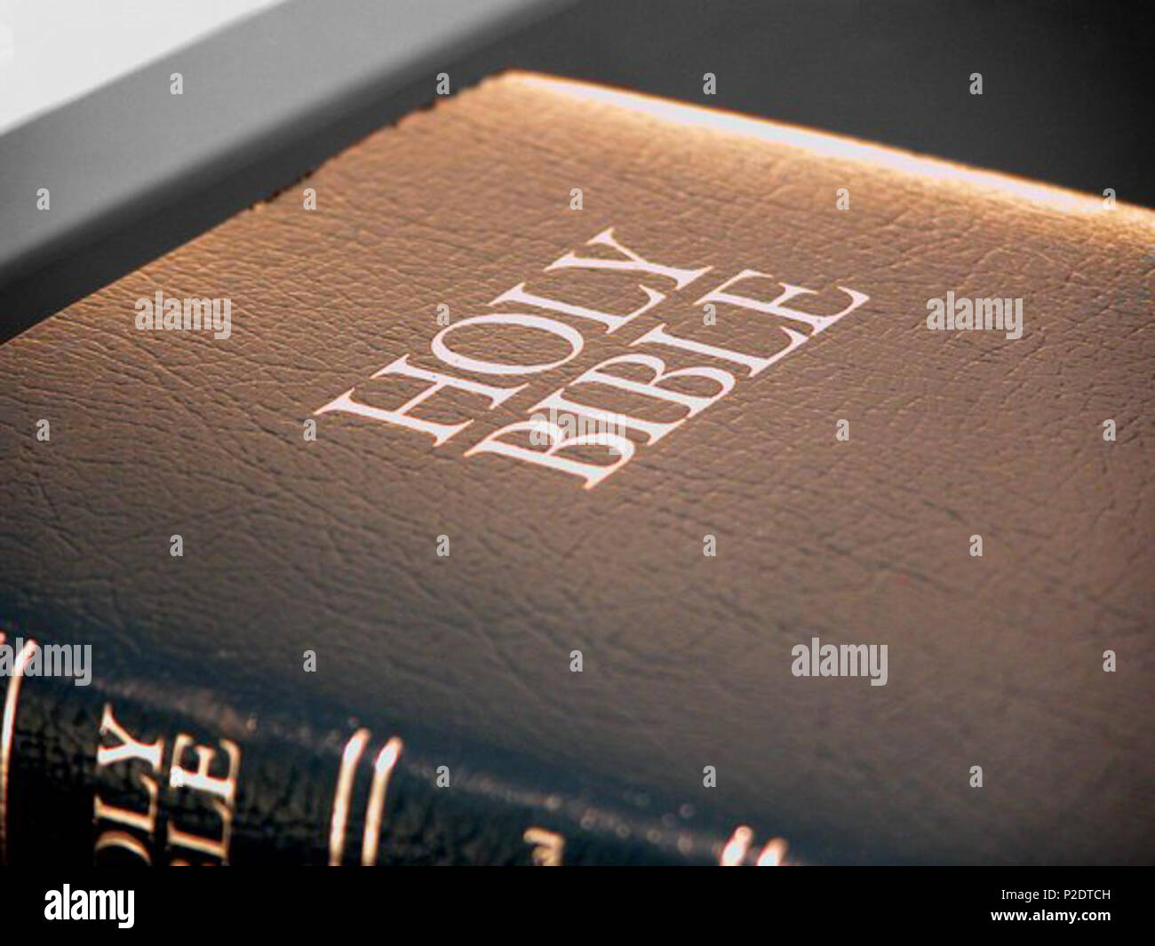 . Anglais : La Sainte Bible . 24 février 2012. Kevin Probst 62 La Sainte Bible Banque D'Images