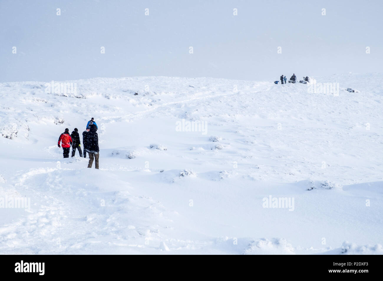 Randonnées en hiver. Des groupes de randonneurs marchant à travers la lande de neige sur Kinder Scout, Derbyshire Peak District, England, UK Banque D'Images
