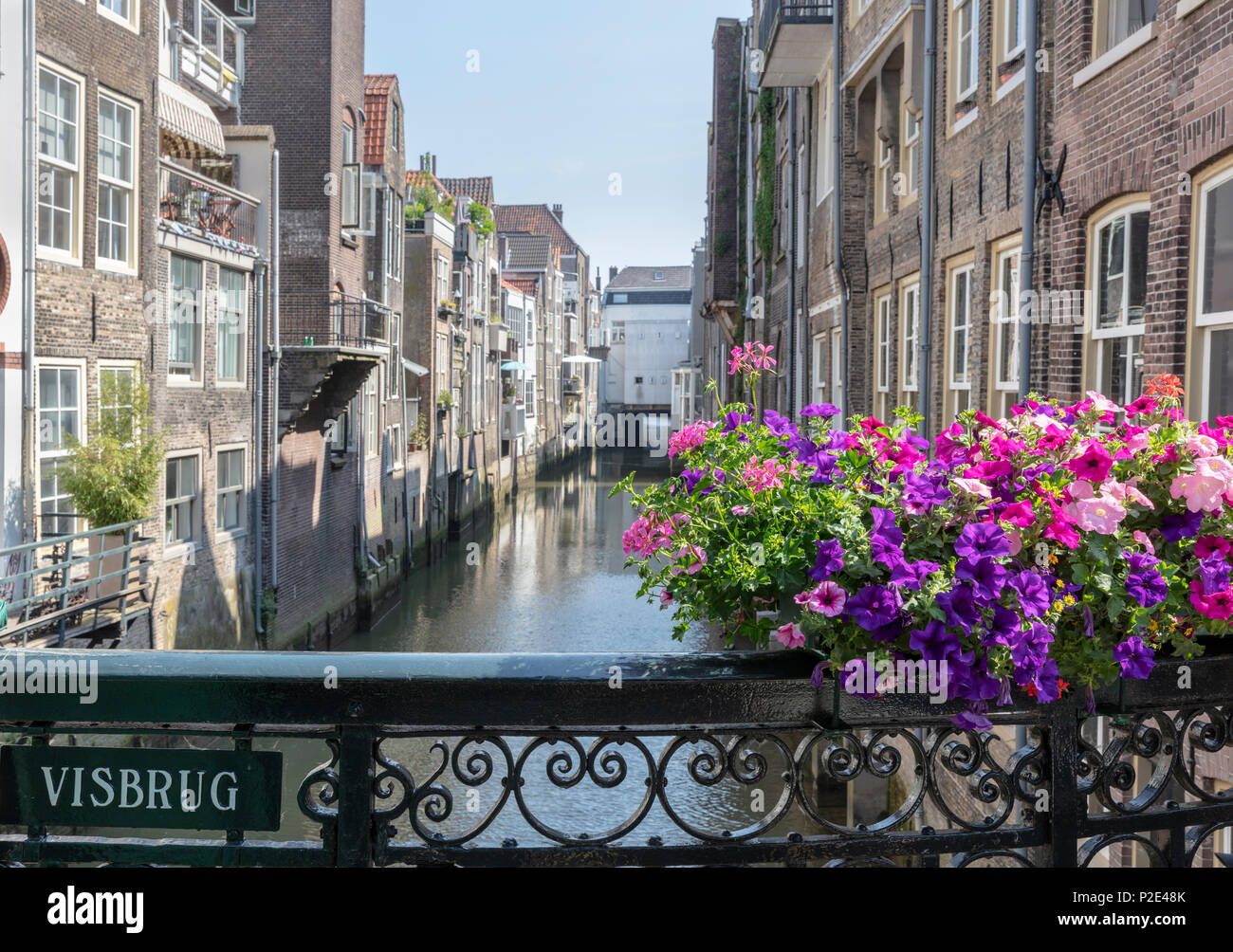 Des fleurs sur la balustrade de Visbrug sur le canal de Wijnhaven, Dordrect, Pays-Bas Banque D'Images