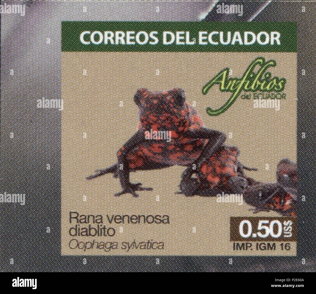 . Anglais : Les amphibiens de l'Equateur - petit diable Poison Frog - Oophaga sylvatica . 31 mars 2016. Poster de l'Équateur 38 Oophaga sylvatica timbre 2016 de l'Equateur Banque D'Images