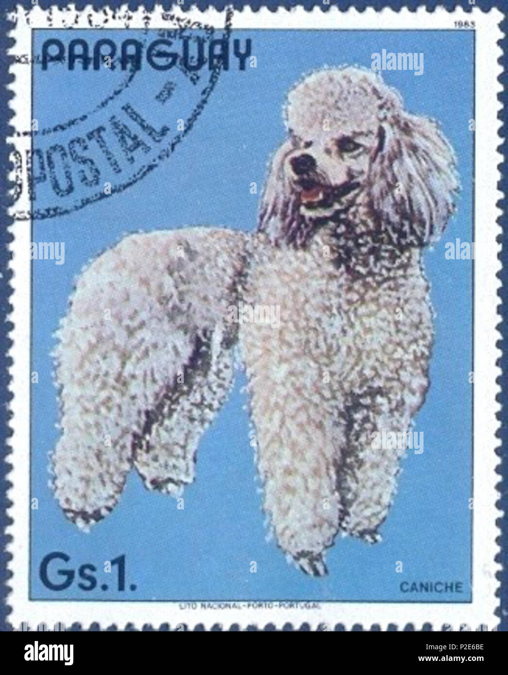 .  ? ? ? ? ? ? ? ? ? ? ? ? ? . 11 janvier 1984. Cachet de Paraguai 42 Poodle-Canis-lupus-familiaris Banque D'Images