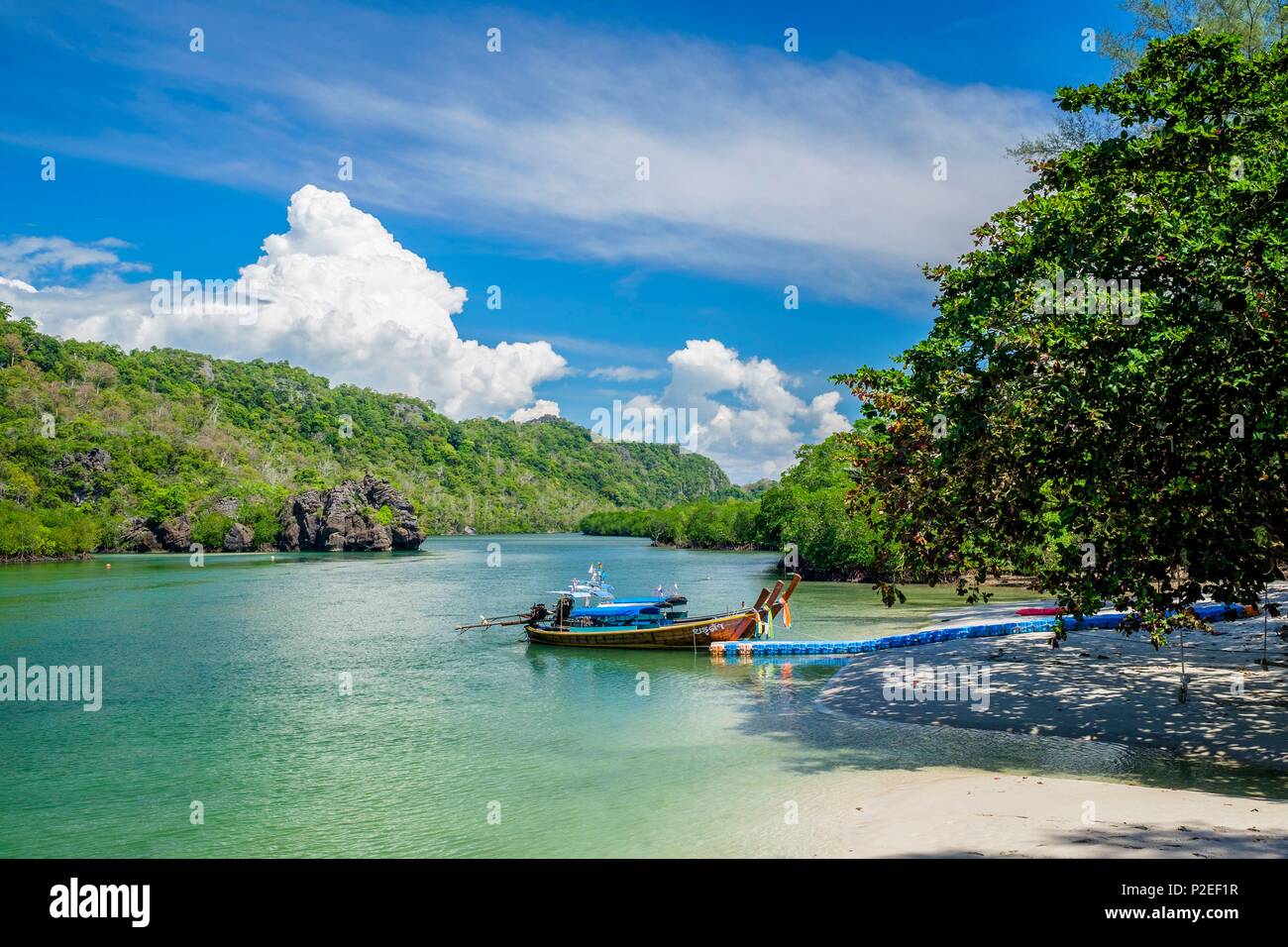 La Thaïlande, province de Phang Nga, Parc national marin de Tarutao, Ko Tarutao island, embouchure de la rivière près de Ao Pante jetée de Malacca Banque D'Images