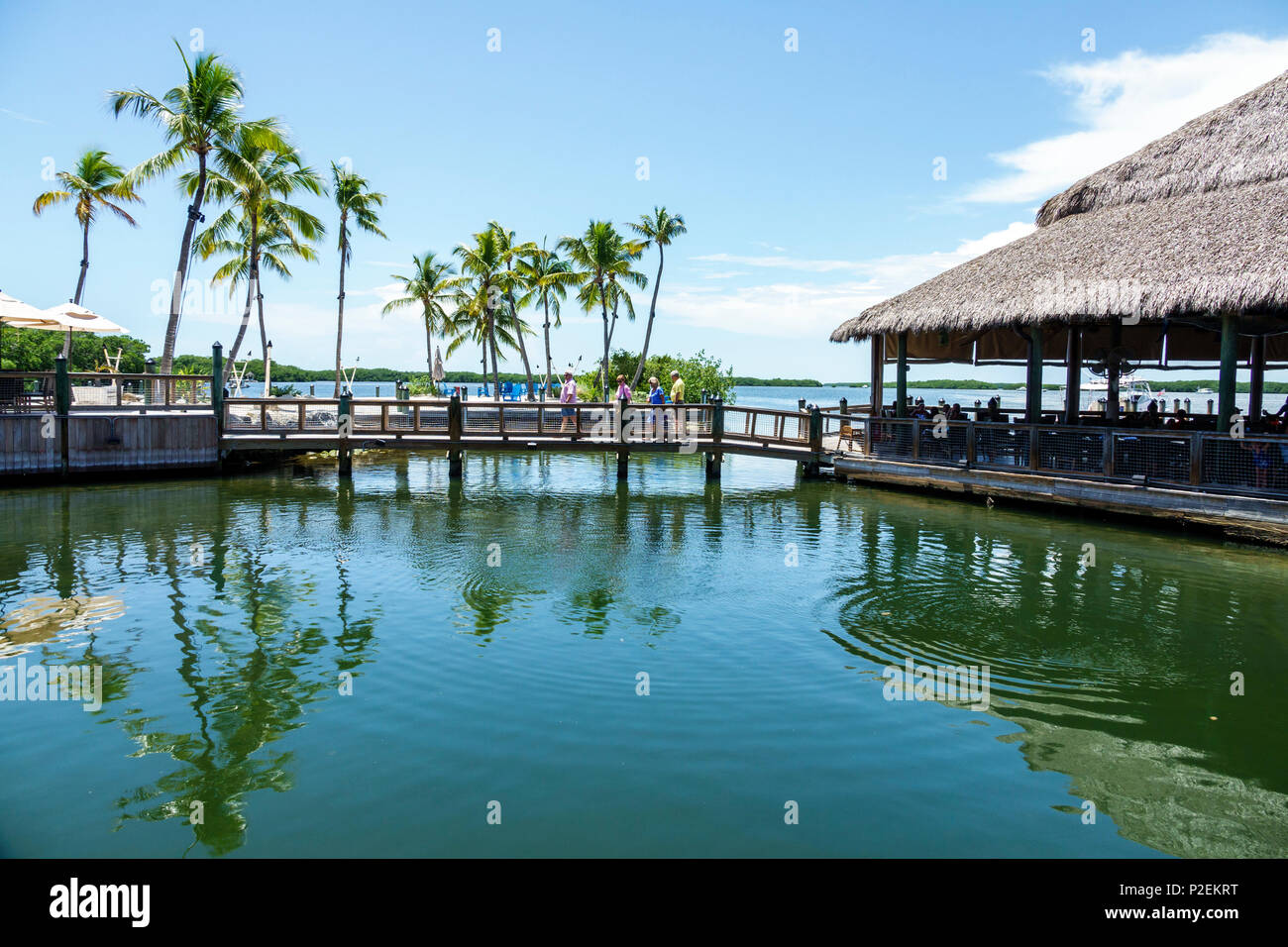 Florida Upper Florida Keys, Islamorada, Islamorada Fish Company, fruits de mer, restaurant restaurants restaurants repas café cafés, Little Basin Florida Bay, waterfron Banque D'Images