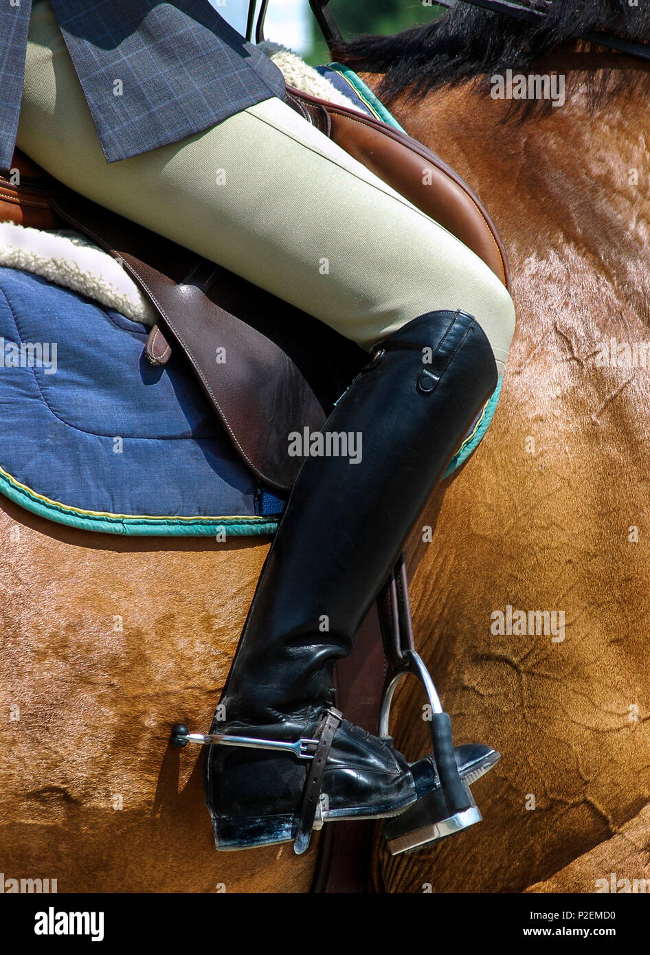 Equestrian femelle noire élégante avec des bottes d'équitation et des Épis Banque D'Images
