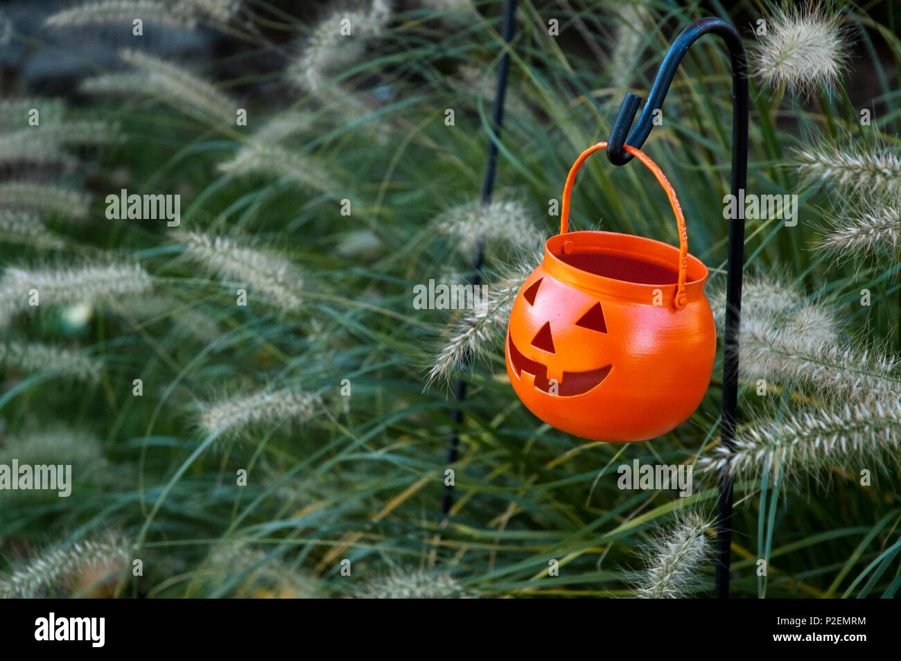 Jack-o'-lantern trick-or-treat Halloween au conteneur Banque D'Images
