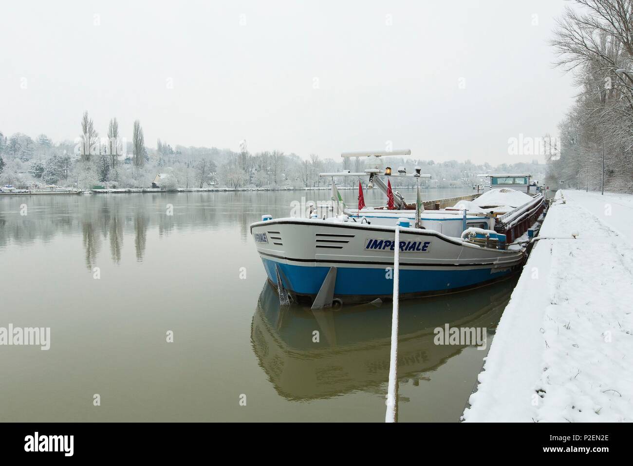 France, Seine et Marne, Bois-le-Roi, la berge de la Seine sous la neige durant les inondations à proximité de la mèche entre bois le roi et Chartrettes Chartrettes et port de plaisance dans l'arrière-plan Banque D'Images