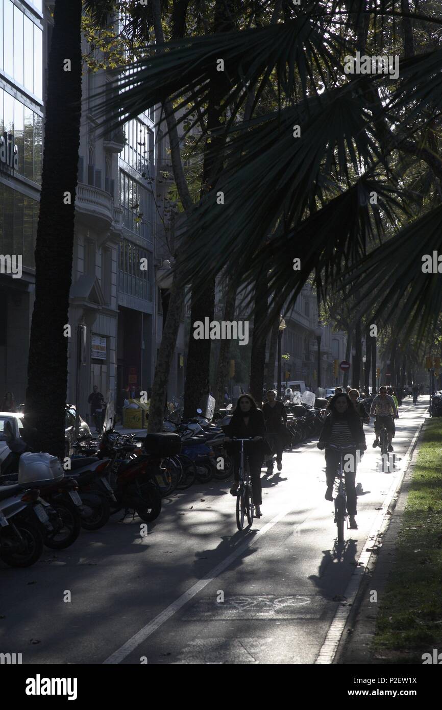 Espagne - Catalogne - Barcelonés (district) - Barcelone. Barcelone ; carril de la bicis en la diagonale a la altura de Balmes. Banque D'Images