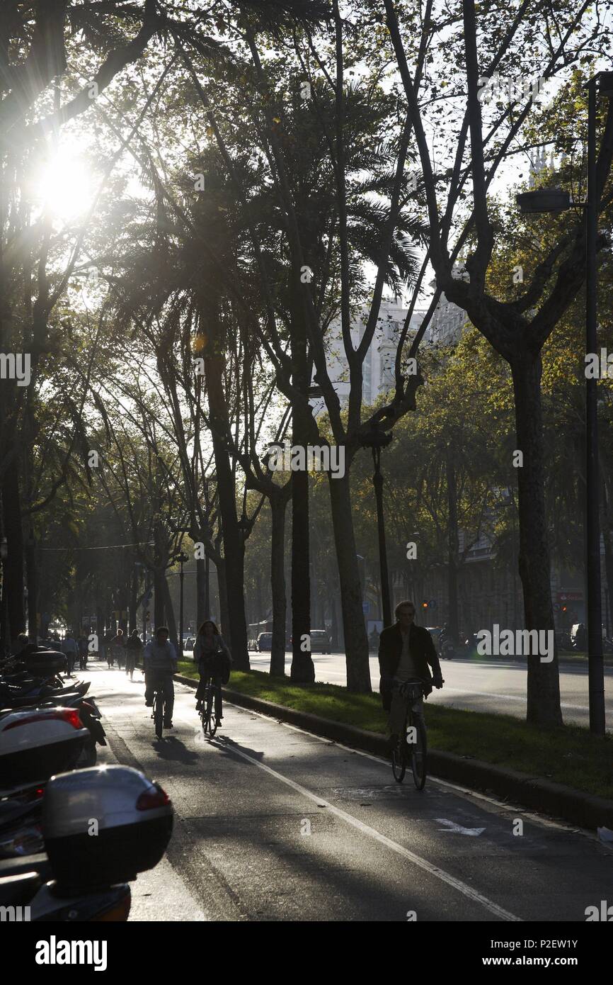 Espagne - Catalogne - Barcelonés (district) - Barcelone. Barcelone ; carril de la bicis en la diagonale a la altura de Balmes. Banque D'Images