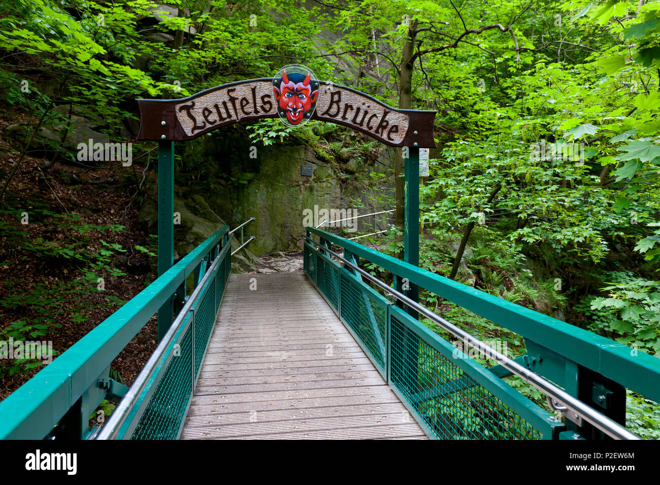 Teufelsbruecke, Bodetal, sentier de randonnée, Harz, été, vallée, forêt, Saxe-Anhalt, Allemagne Banque D'Images