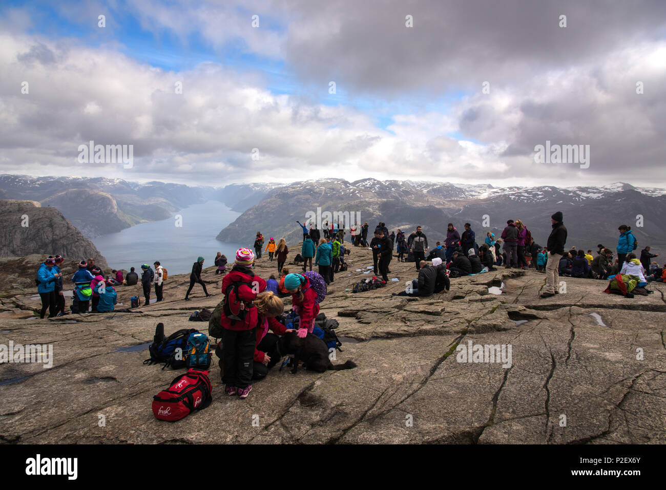 Preikestolen, vue, Lysefjord, Ryfylke, Rogaland, Norvège, Europe Banque D'Images