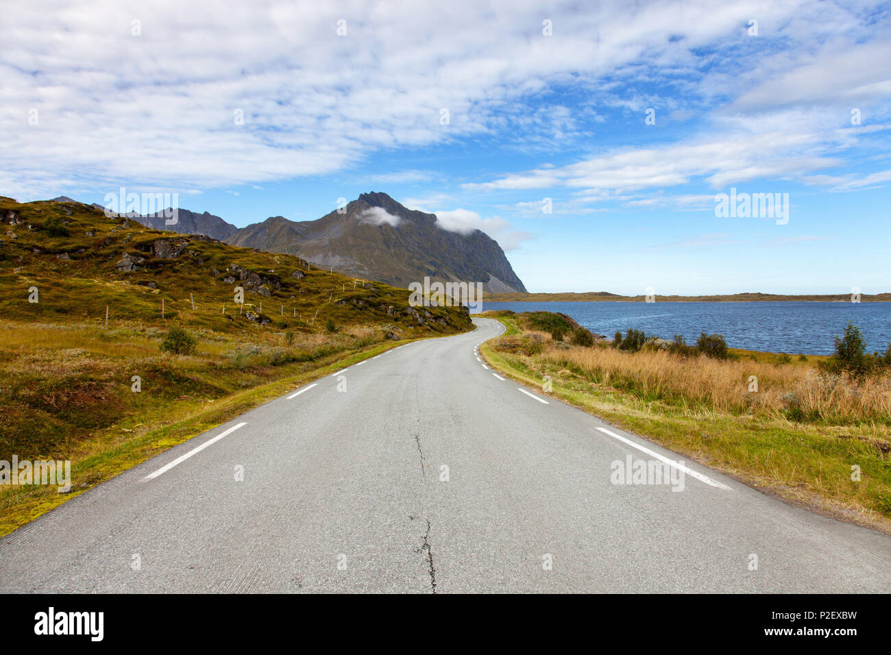 Road, été, littoral, Vestvagoya, Lofoten, Norvège, Europe Banque D'Images