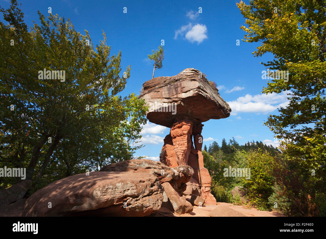 Teufelstisch, Devil's Table, près de Hinterweidenthal, parc naturel de la Forêt du Palatinat, Rhénanie-Palatinat, Allemagne Banque D'Images
