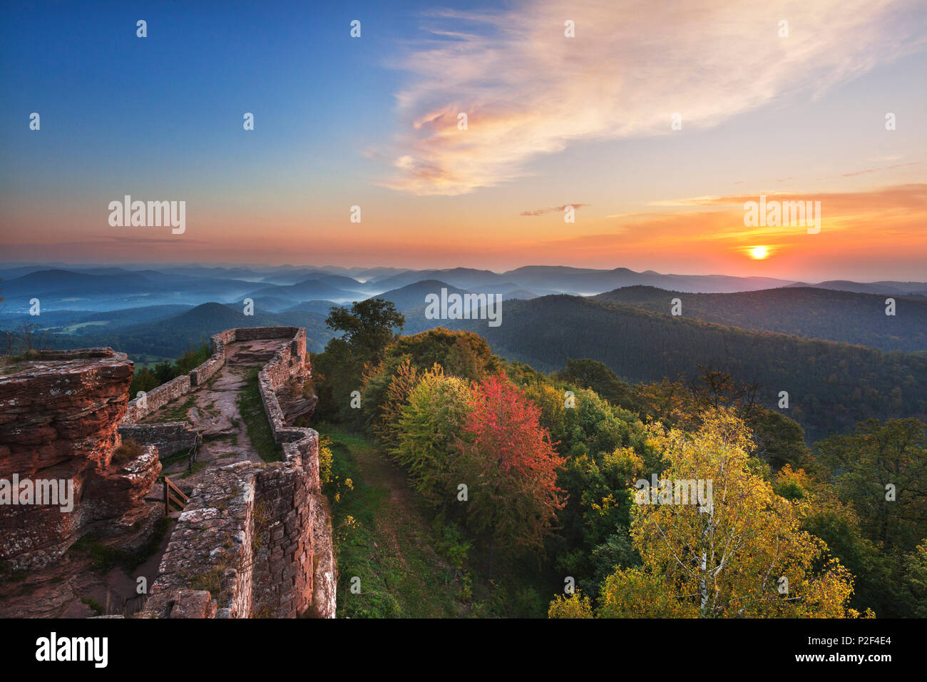 Vue sur la forêt du Palatinat de Wegelnburg château, près de Nothweiler, Dahner Felsenland, parc naturel de la Forêt du Palatinat du Rhin, Banque D'Images
