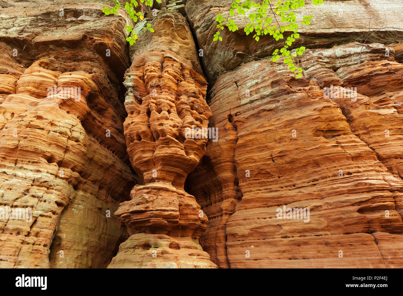Rock formation Altschlossfelsen, près de Eppenbrunn, parc naturel de la Forêt du Palatinat, Rhénanie-Palatinat, Allemagne Banque D'Images