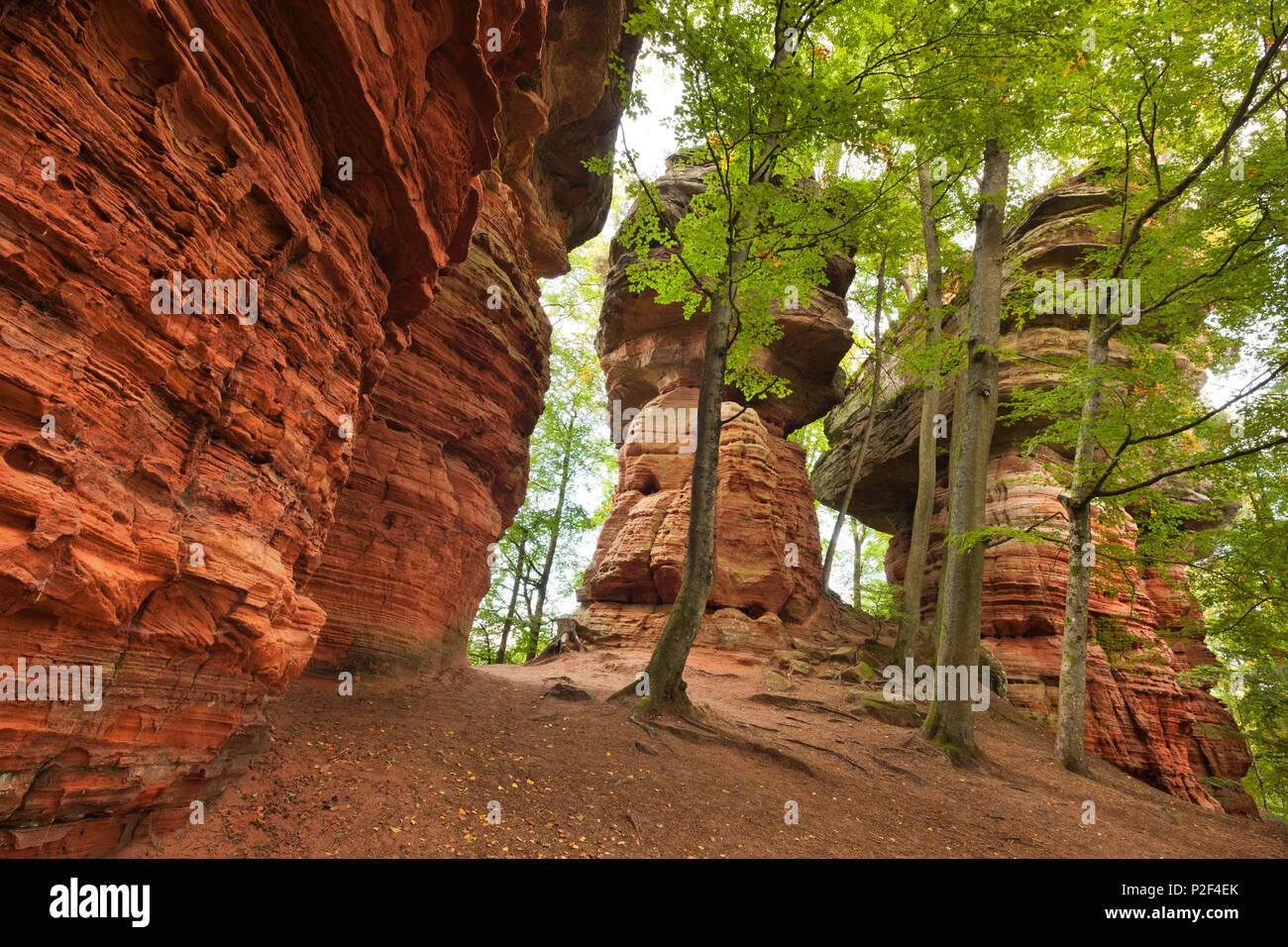 Rock formation Altschlossfelsen, près de Eppenbrunn, parc naturel de la Forêt du Palatinat, Rhénanie-Palatinat, Allemagne Banque D'Images