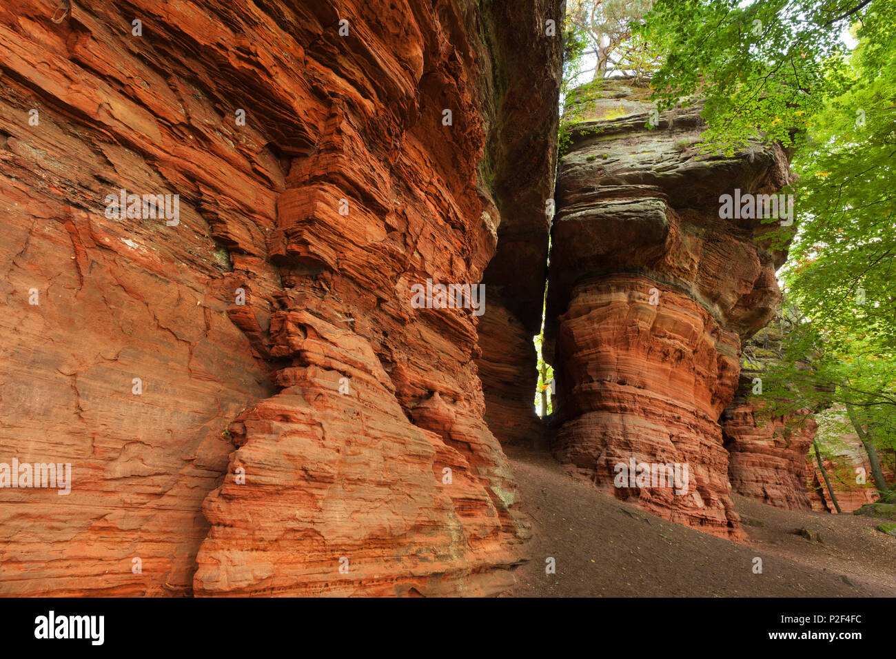 Rock formation Altschlossfelsen, près de Eppenbrunn, parc naturel de la Forêt du Palatinat, Rhénanie-Palatinat, Allemagne Banque D'Images