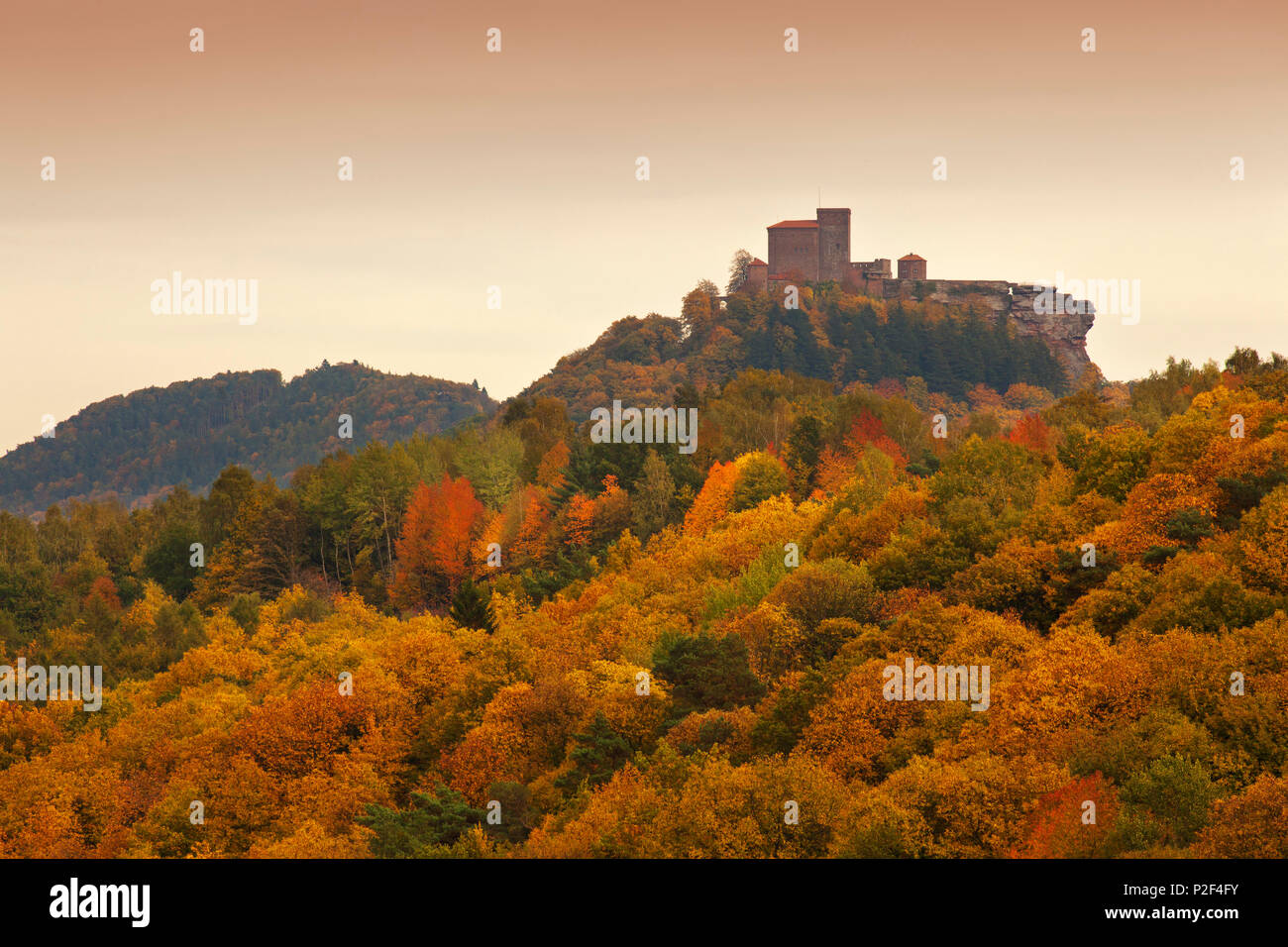 Le château de Trifels, près de Annweiler, parc naturel de la Forêt du Palatinat, Rhénanie-Palatinat, Allemagne Banque D'Images