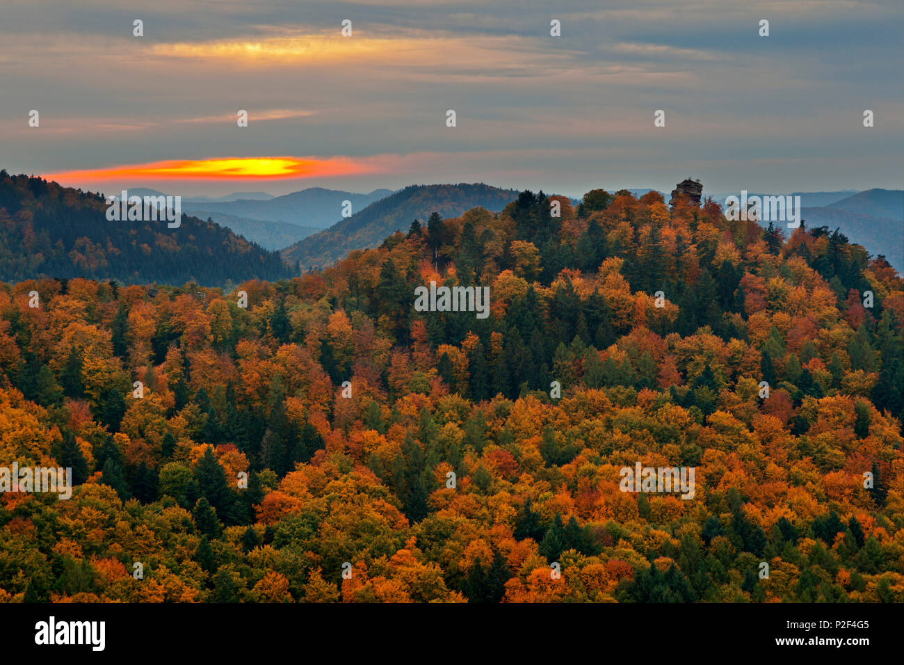 Château Anebos, près de Annweiler, parc naturel de la Forêt du Palatinat, Rhénanie-Palatinat, Allemagne Banque D'Images