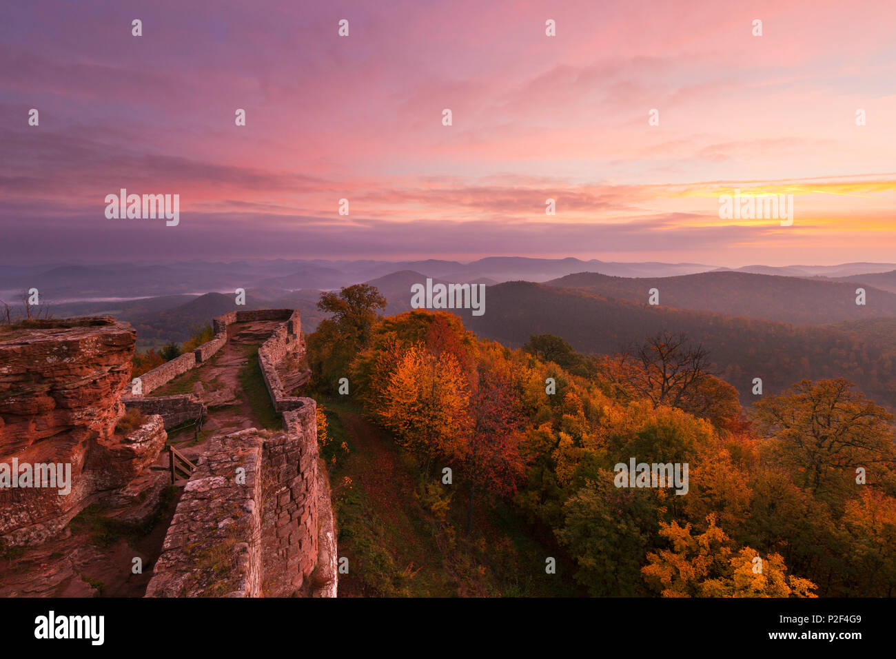 Vue sur la forêt du Palatinat de Wegelnburg château, près de Nothweiler, Dahner Felsenland, parc naturel de la Forêt du Palatinat du Rhin, Banque D'Images
