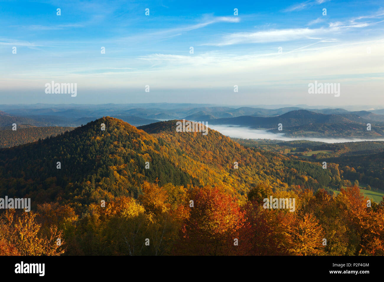 Vue sur la forêt du Palatinat de Wegelnburg château, près de Nothweiler, Dahner Felsenland, parc naturel de la Forêt du Palatinat du Rhin, Banque D'Images